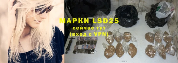 шишки Баксан