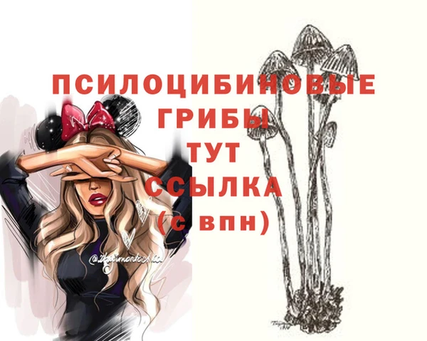 ALPHA-PVP Белокуриха