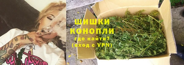 шишки Баксан